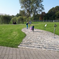 Zielony Słonik
